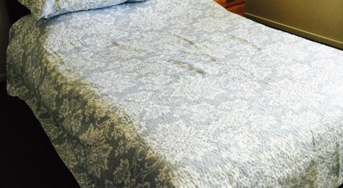 Cozy Cozy Guest House image 6